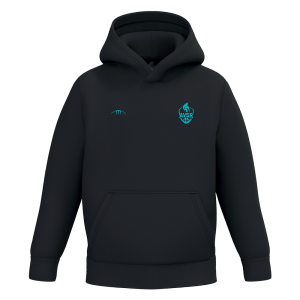 Sweat capuche classic