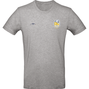 Tee-shirt coton gris