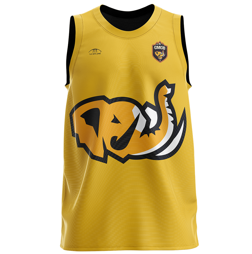 CHAMBERY DEBARDEUR TRAINING REVERSIBLE-2