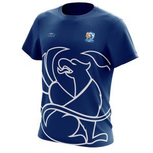 Tee-shirt Training Bleu Griffons