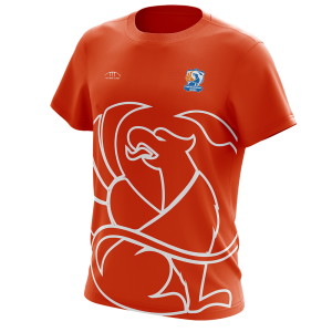Tee-shirt Training Orange Griffonnes